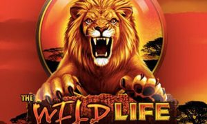 the-wild-life-slot-